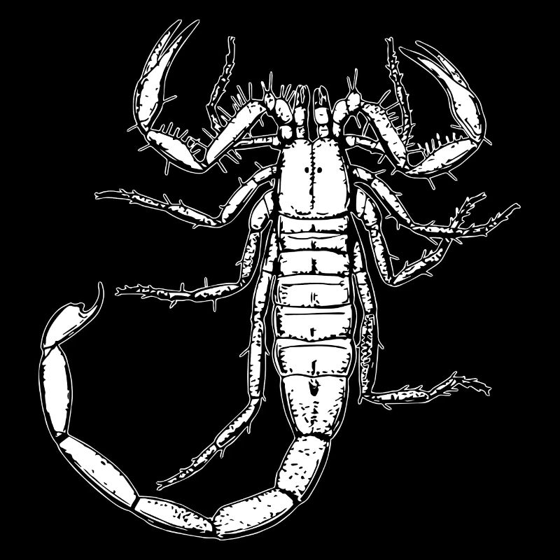 Skorpion Tier Sternzeichen Geschenk