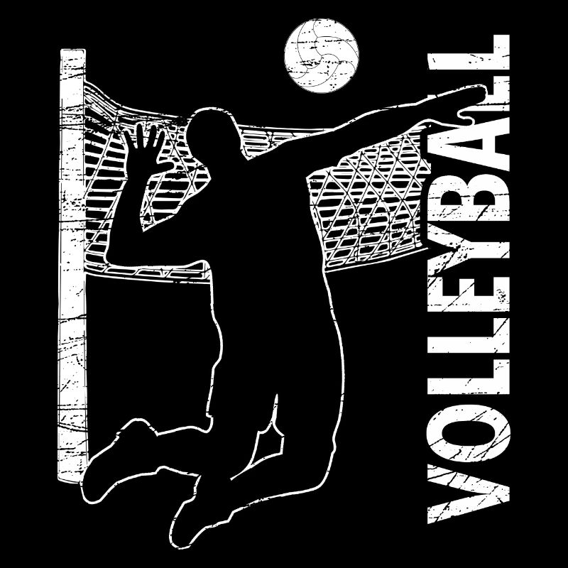 Volleyball volleyball net gift