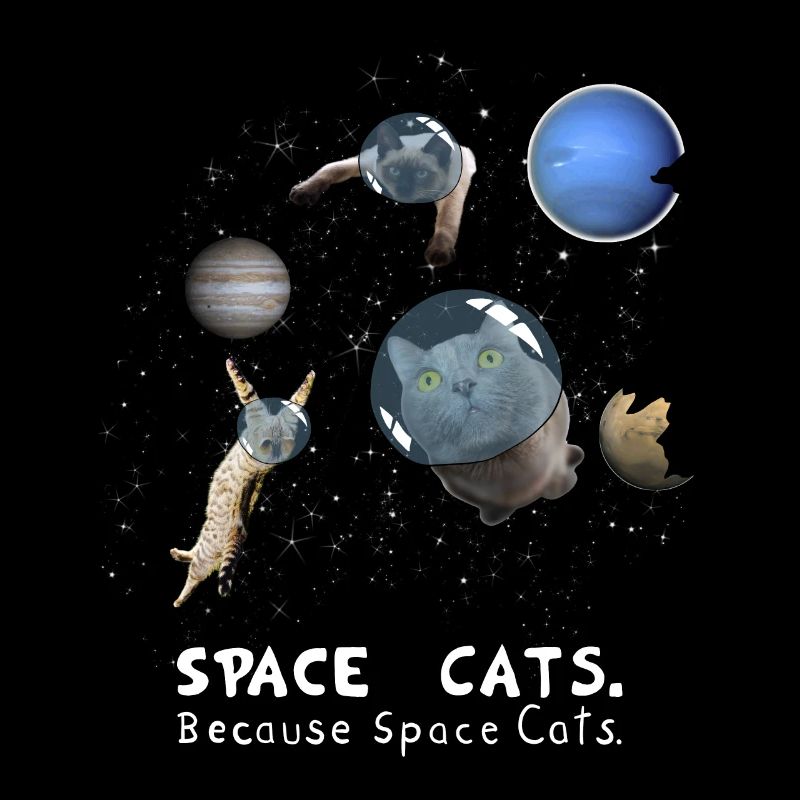Space Cats Epic Galaxy Space Gift