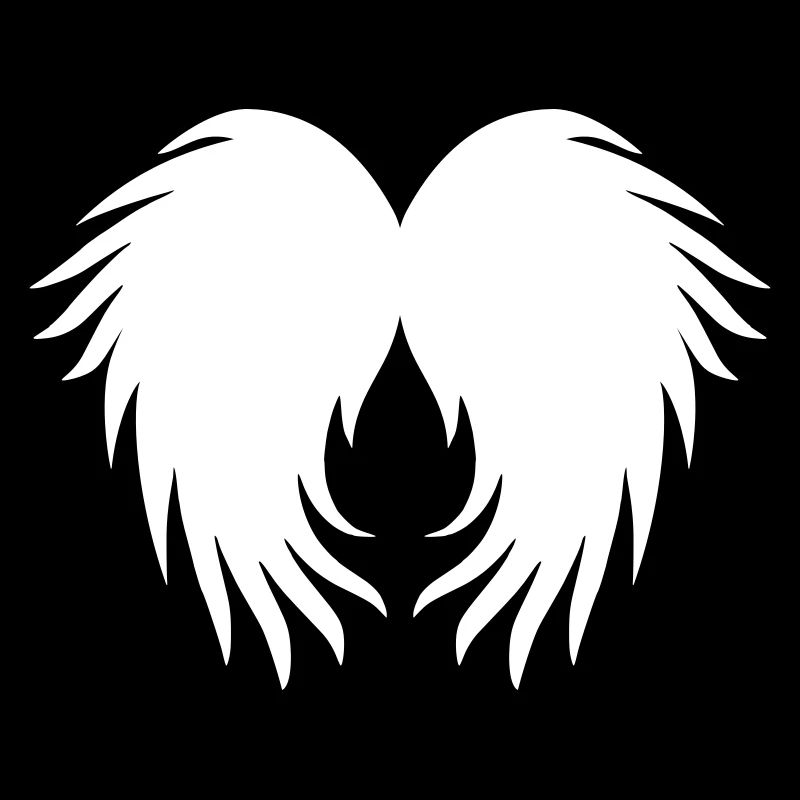 Angel wings feathers