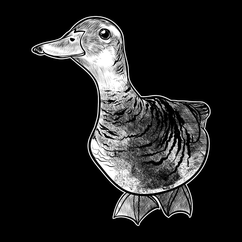 Duck with cute look funny beak humor