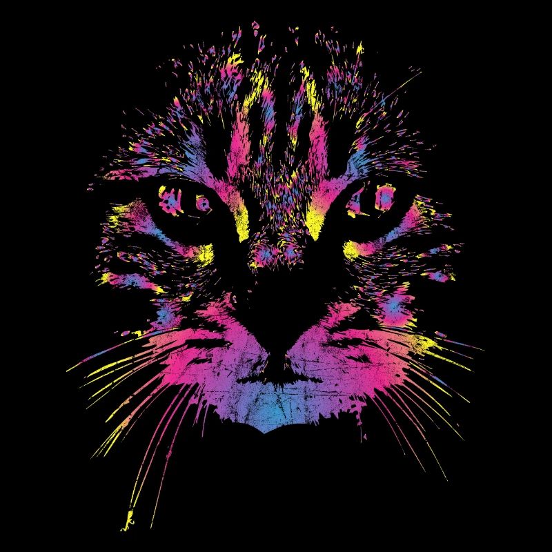 Chat coloré