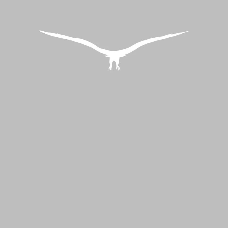 Eagle buzzard or hawk silhouette approaching