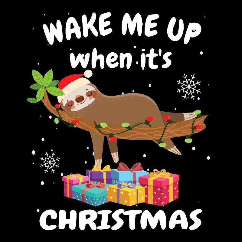 Sloth wake up when it is Christmas