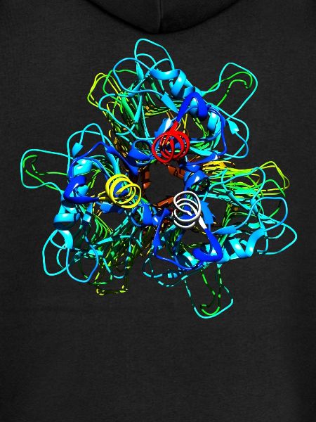 Alkuperäinen tailspike proteiinimolekyyli Bakteriofage