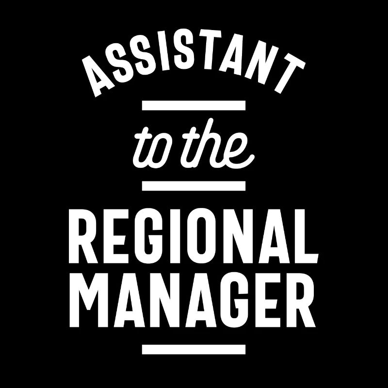 Assistent des Regional Managers The Office Funny