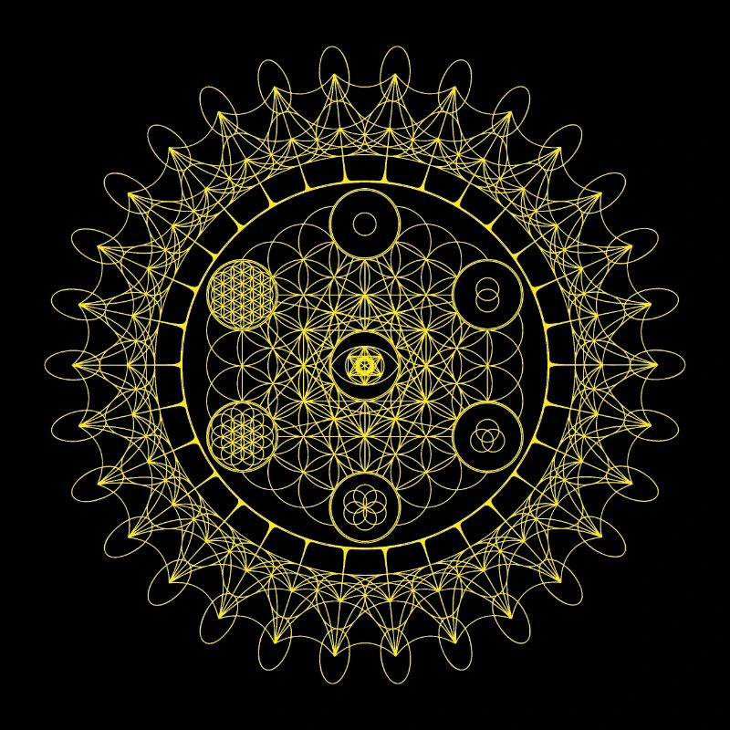 Metatron's Flower Sacred Eye Geometric Evolution