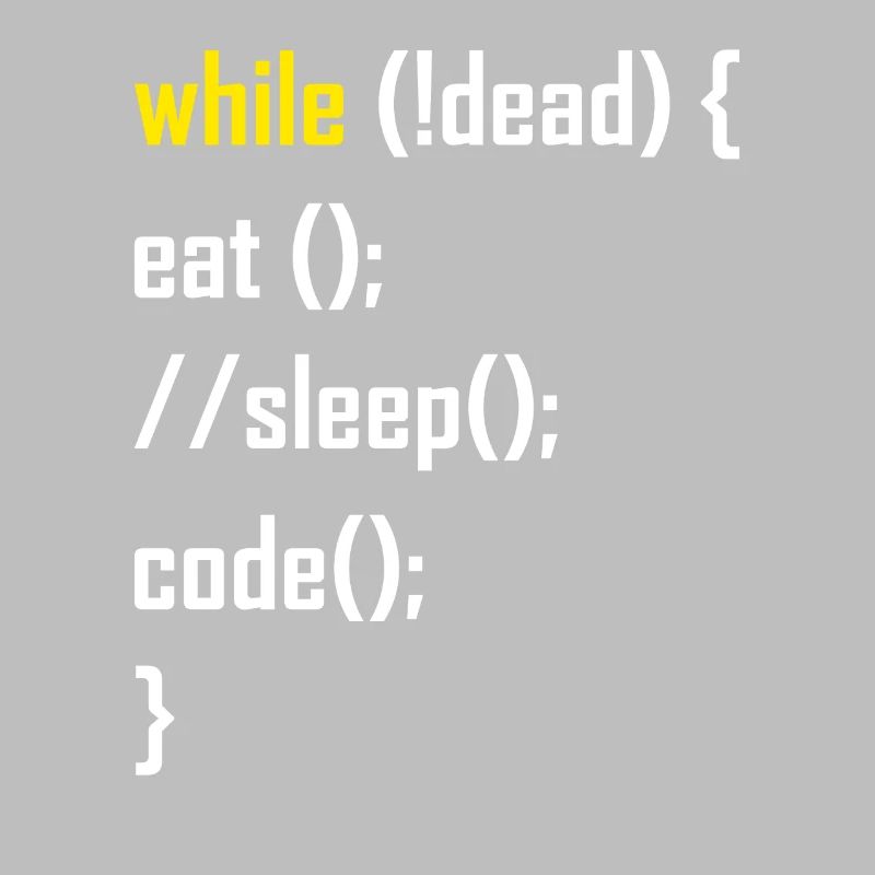 Programmer programming gift