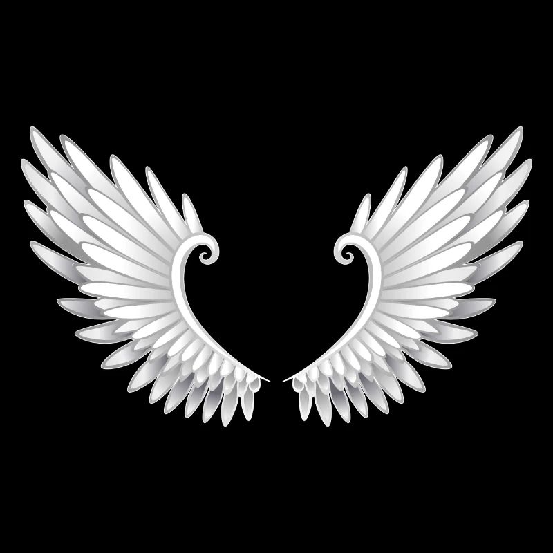 ailes d'anges