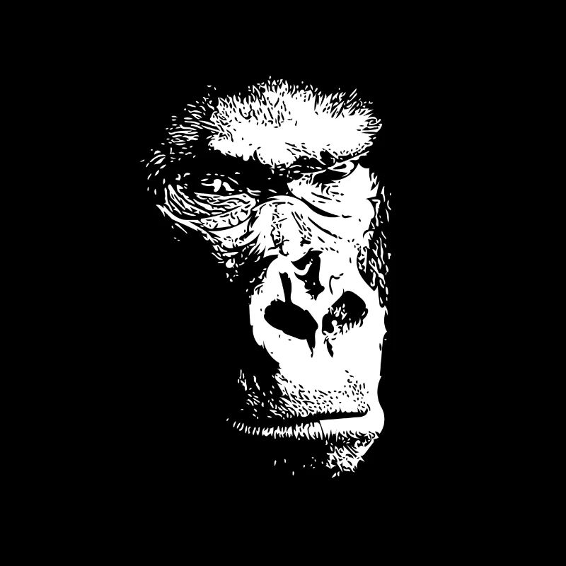 Gorilla