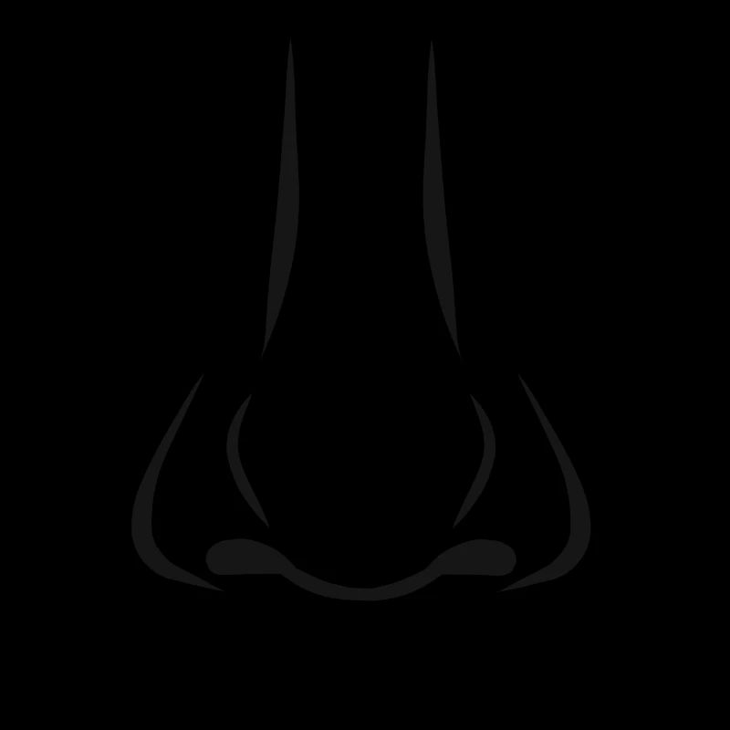 Nez odeur cadeau nose odeur idée cadeau