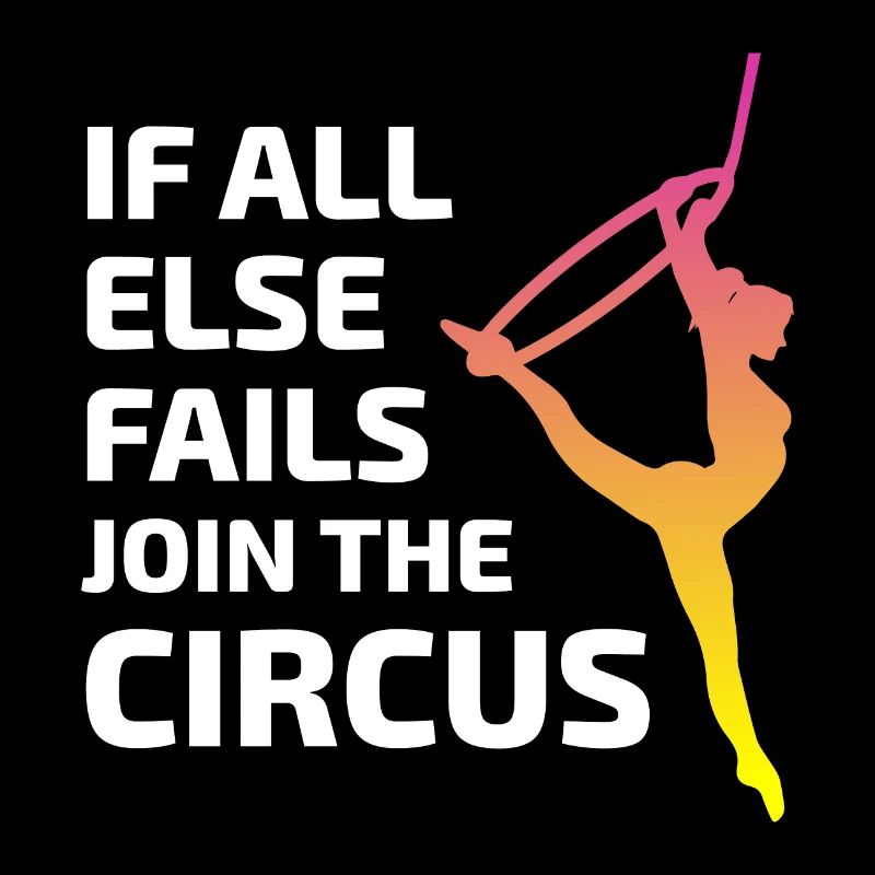 Cerceau aérien Lyra Silk Circus Acrobaties drôles