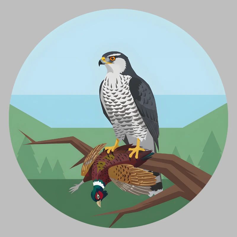 Épervier avec faisan