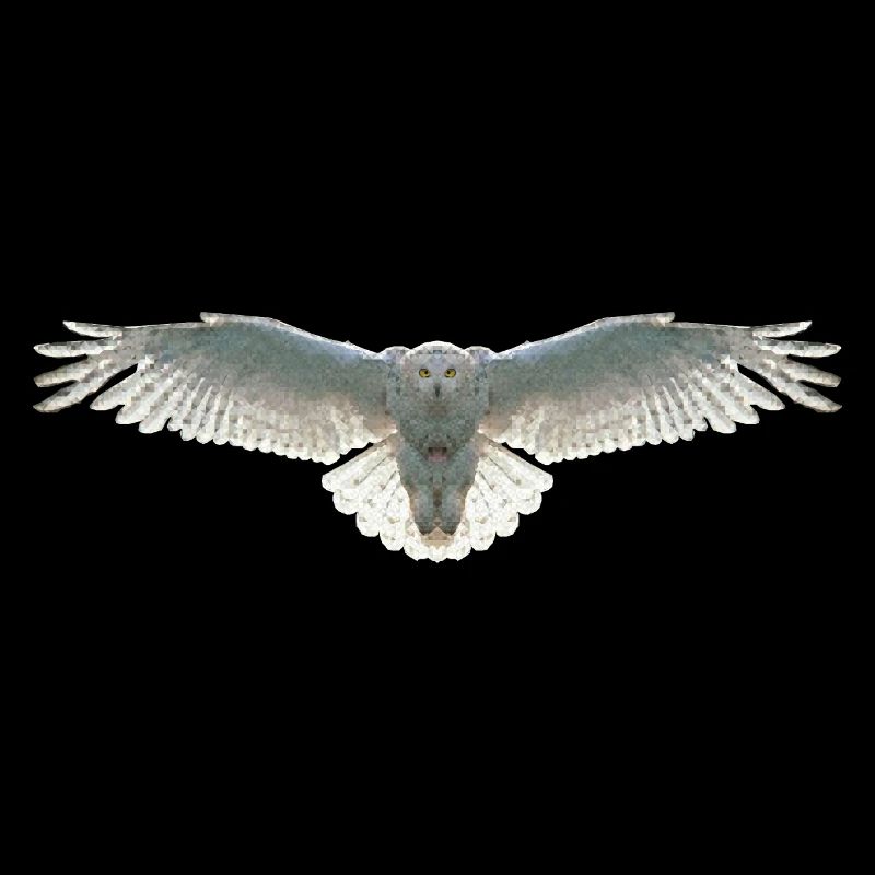 Schneeeule Eule Polygon Vogel Tier Wildtier Uhu