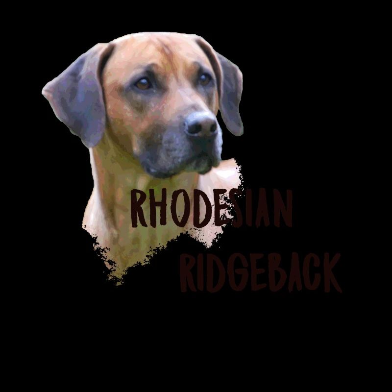 Rhodesian Ridgeback
