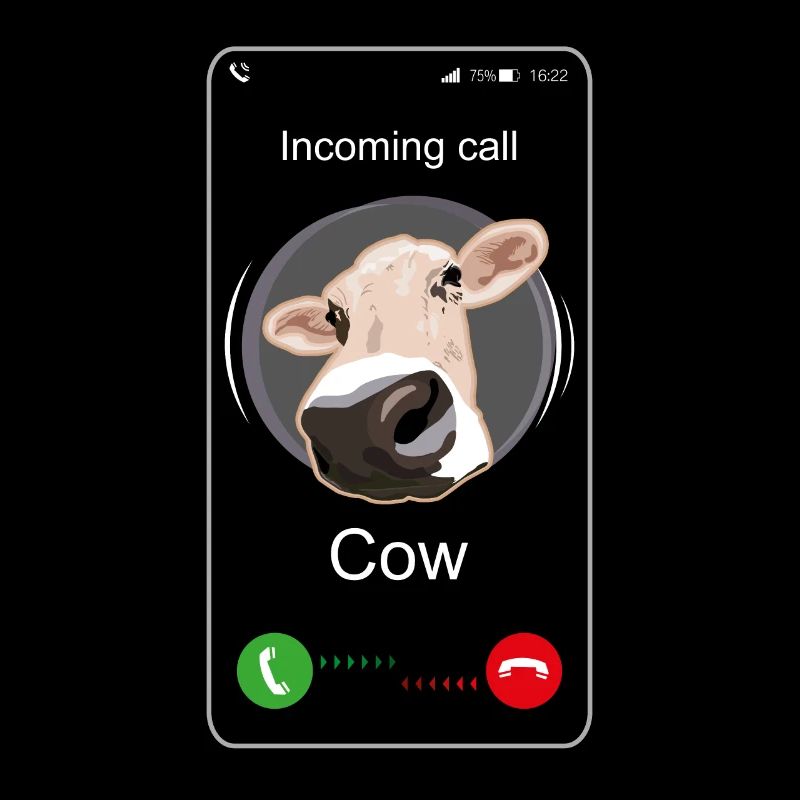 Appel entrant vache - appel drôle