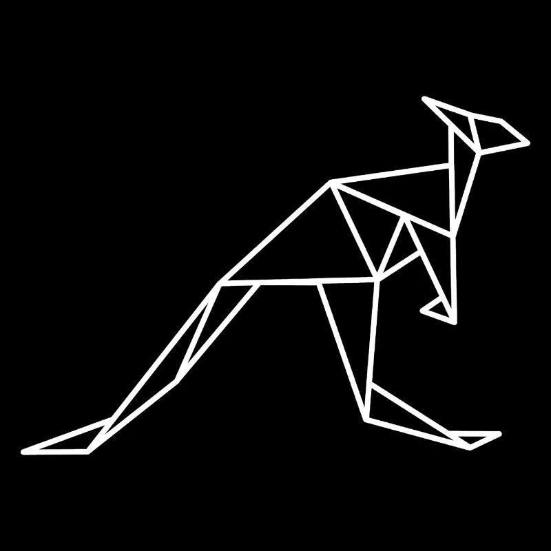 Kangaroo Geometry Lines