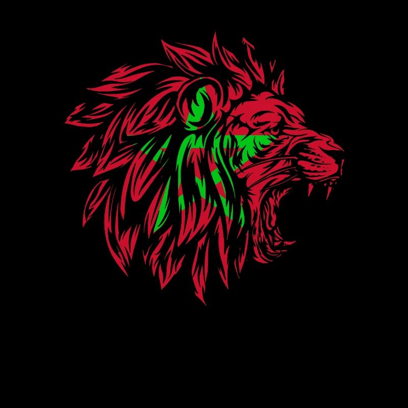 Morocco Lion Moroccan Moroccan