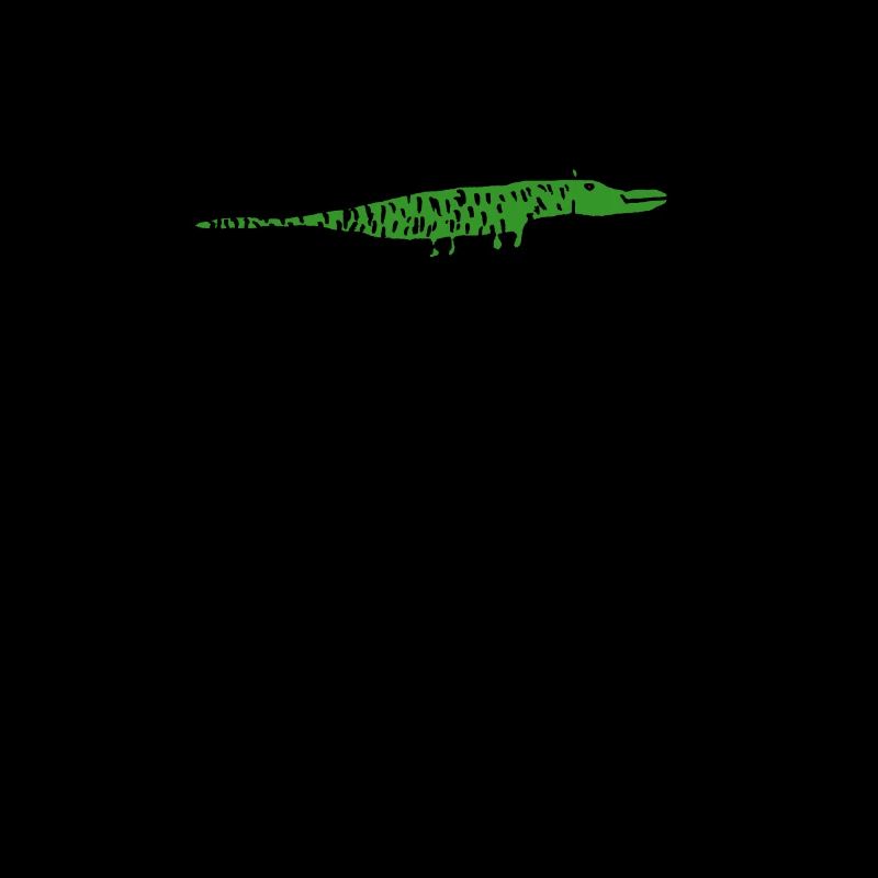 Bébé alligator
