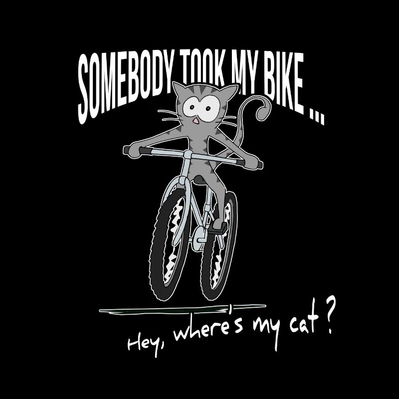 Chat vole vélo - Où est mon vélo cadeau