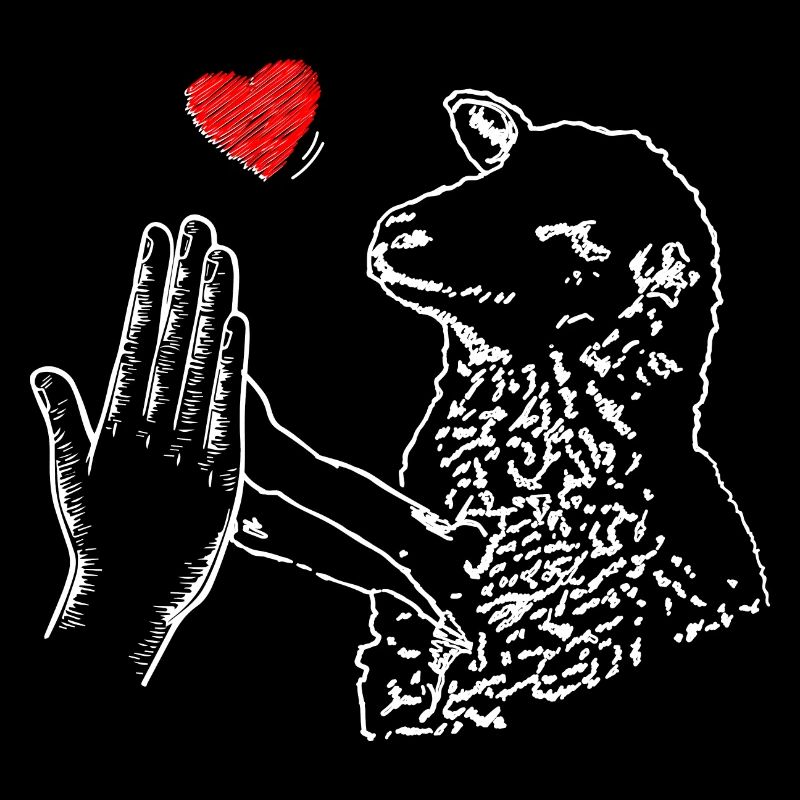 Schaf Herz Hand