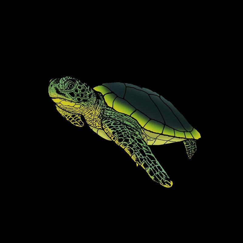 Alte Schildkröte mit Erfahrung Geschenkidee Tiere