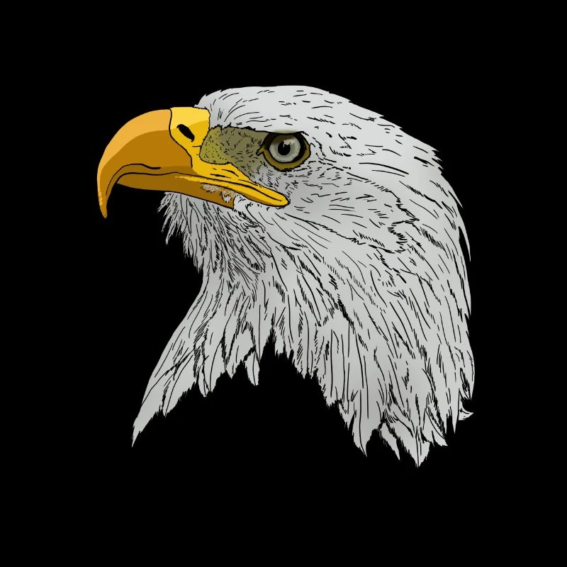 Bald Eagle face gift idea for kings