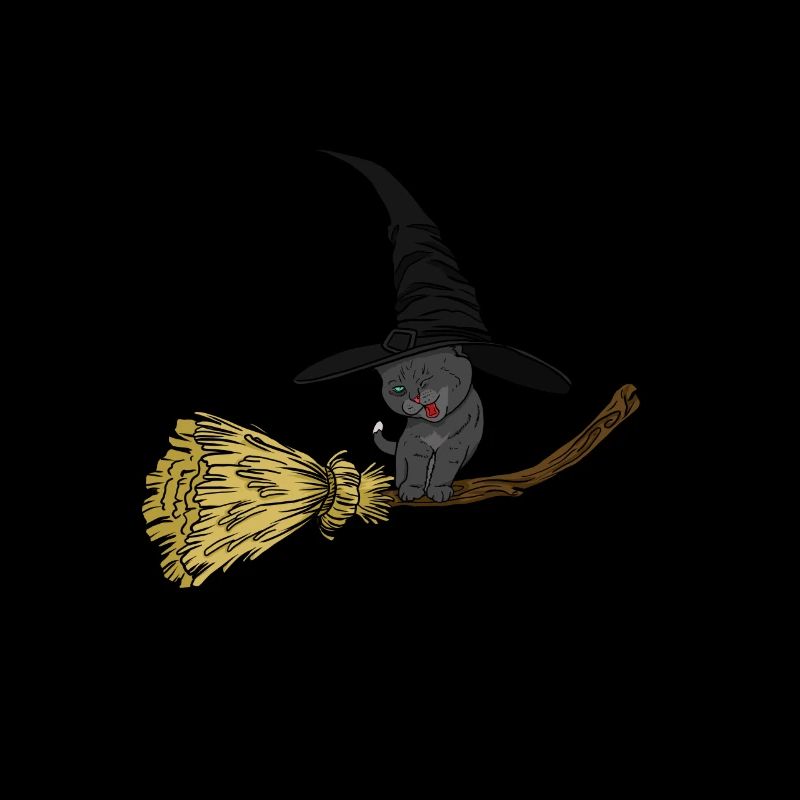 Cats witch on broom with magic hat gift idea