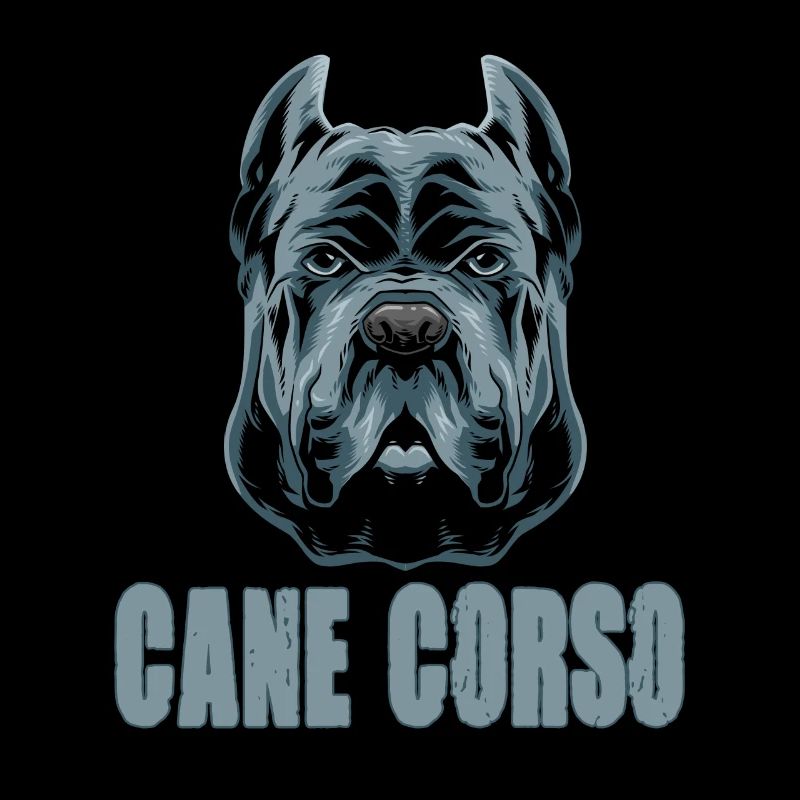 Cane Corso für einen Cane Corso Besitzer Cane