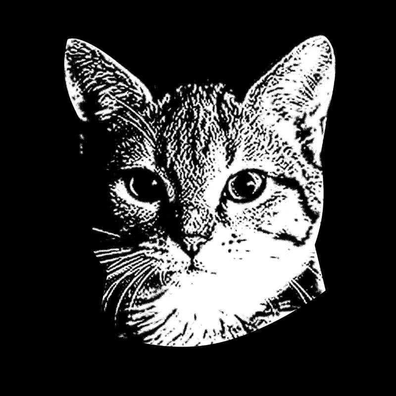 Süßes Katzengesicht