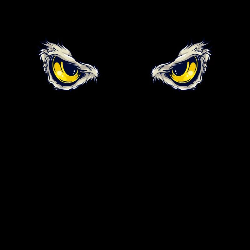 Eagle Eyes Eagle Eyes Bird