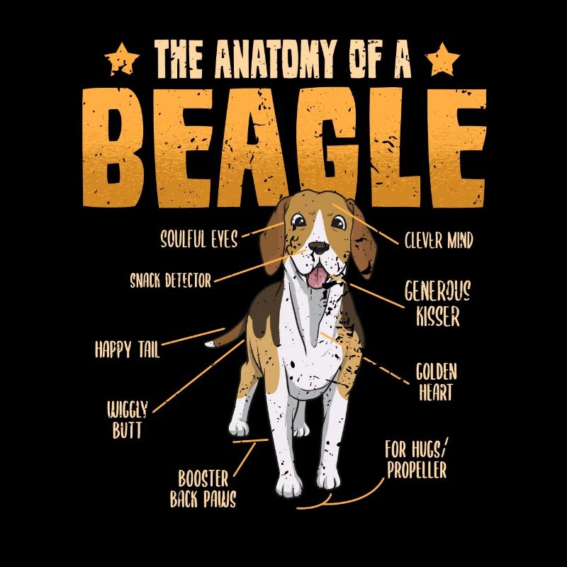 Hund Lustig Beagle Hundebesitzer Anatomie Geschenk