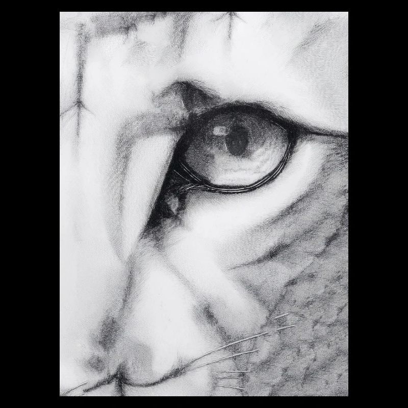 Feline