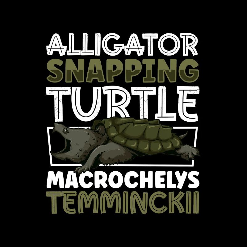 Alligator turtle