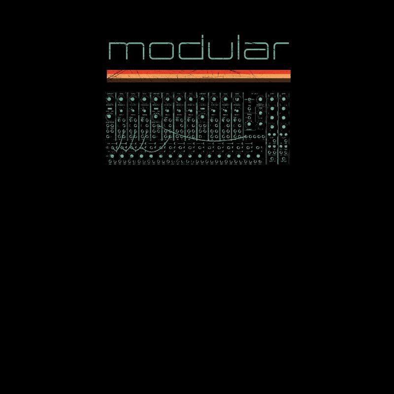 Vintage Modular Synthesizer - Analoger DIY Synth