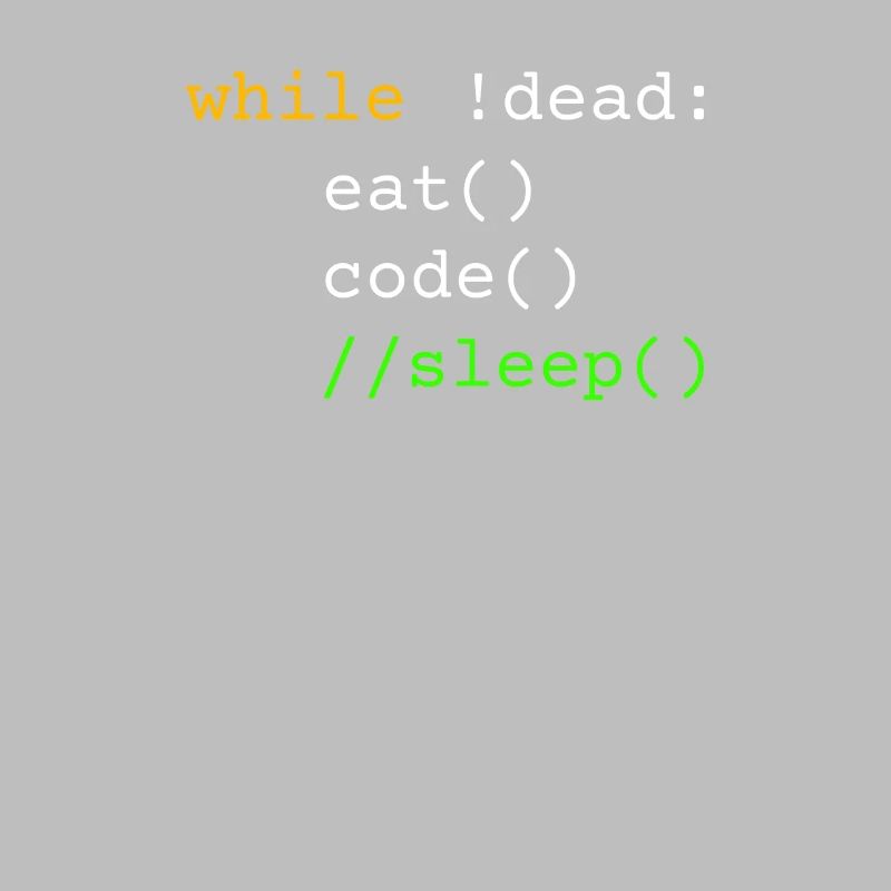 Programmer Gift