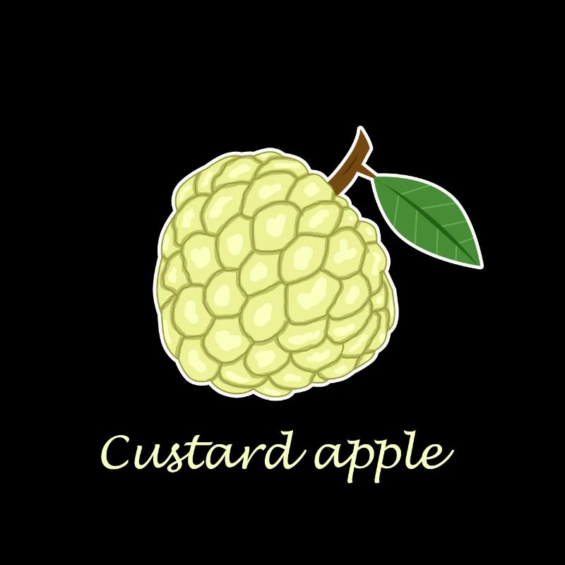 Custart pomme fruit cannelle vergan cadeau BD