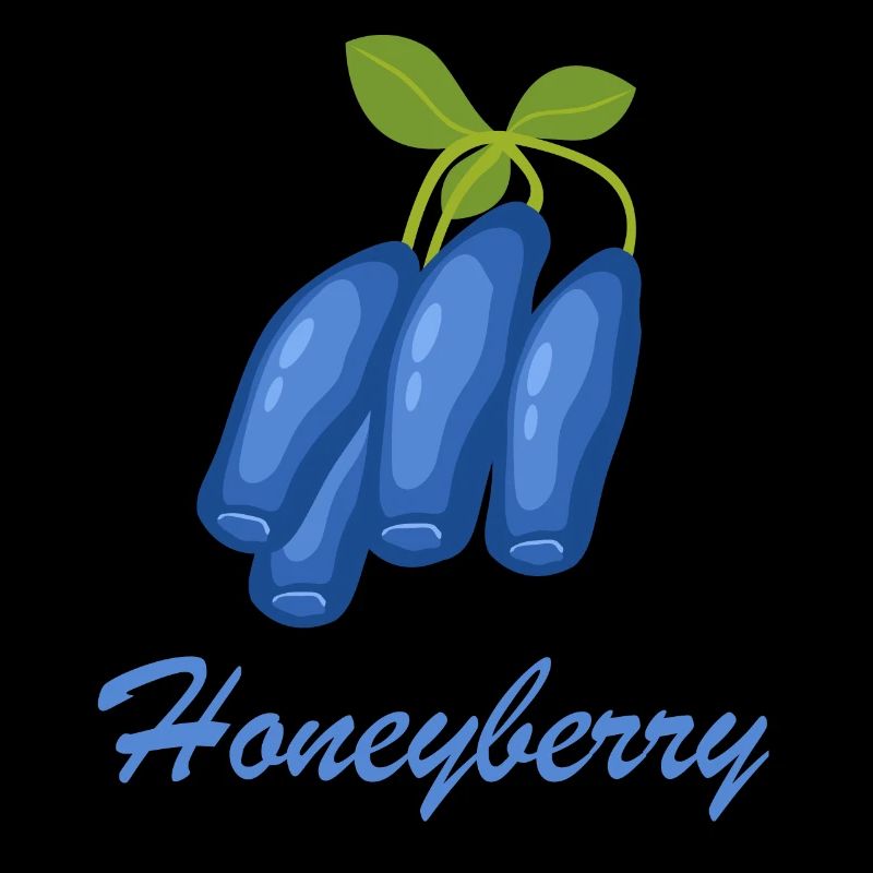 Honigbeere Frucht Obst gesund Blaubeere Geschenk