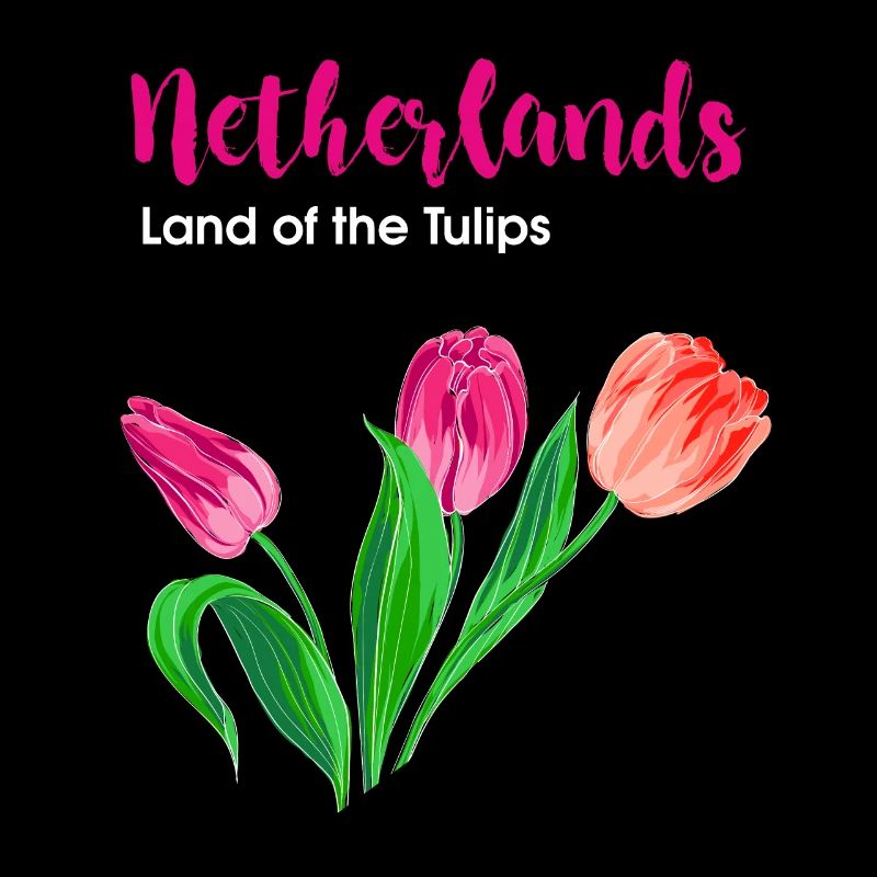 Netherlands Holland Tulips