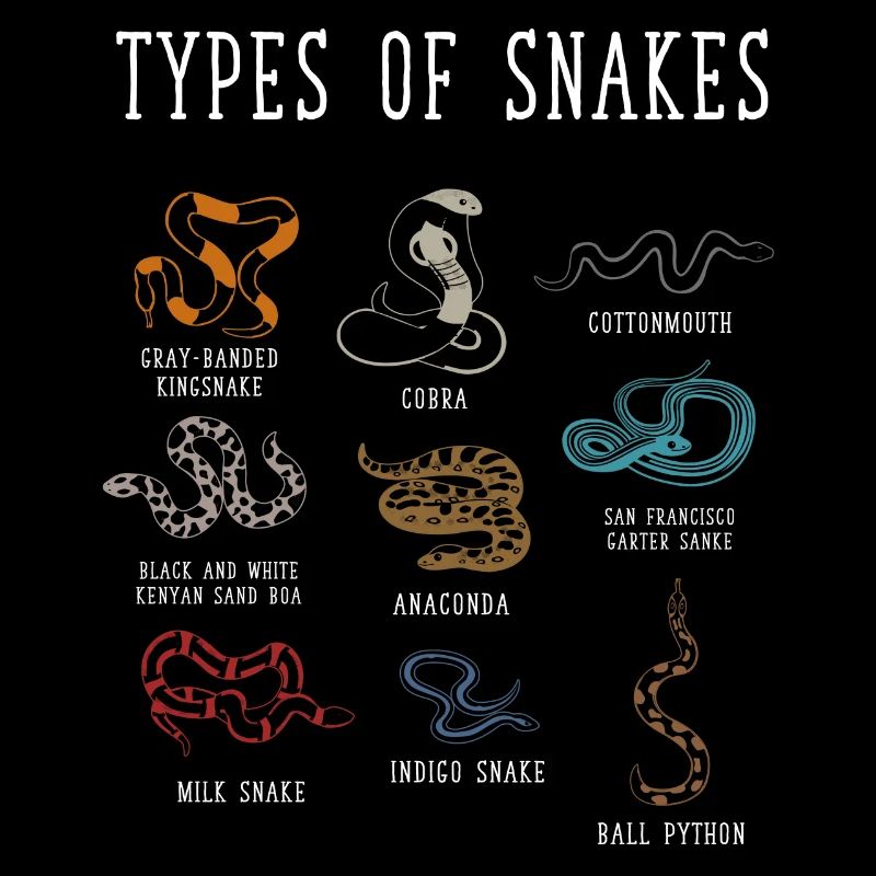 Types de serpents, Serpent, Types de serpents, Cobra
