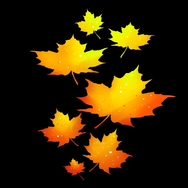 Feuilles d’automne feuilles feuilles feuilles