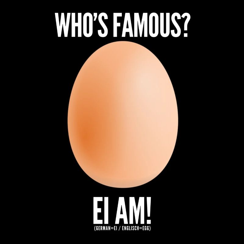 Funny World Record Egg Shirt Instagram Egg