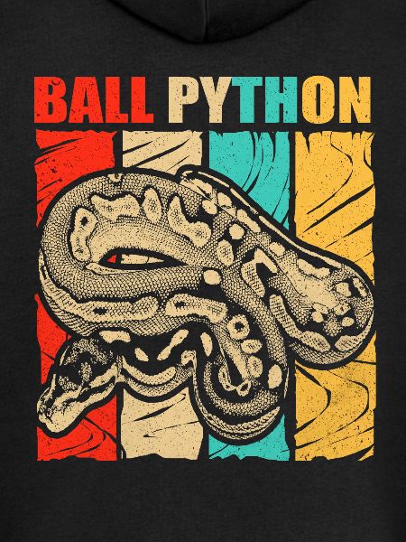 Python