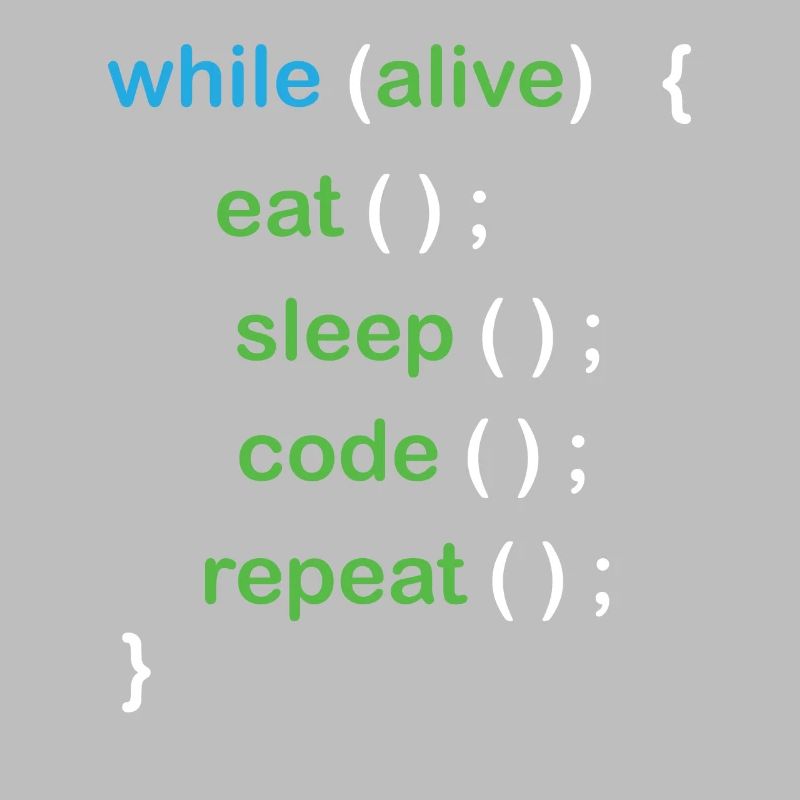 Python Coding Software Developer