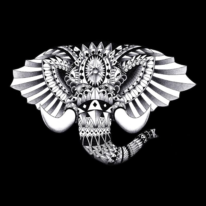 Elephant Ornate Drawing