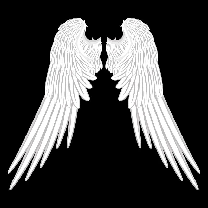 Ailes d'anges