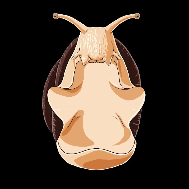 Escargot de yoga