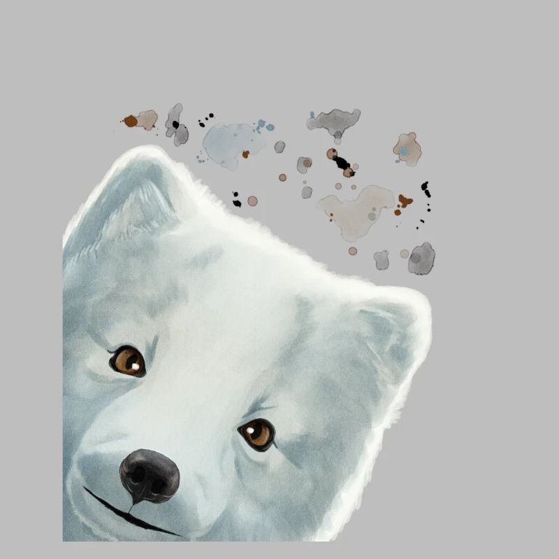 Curious Arctic Fox