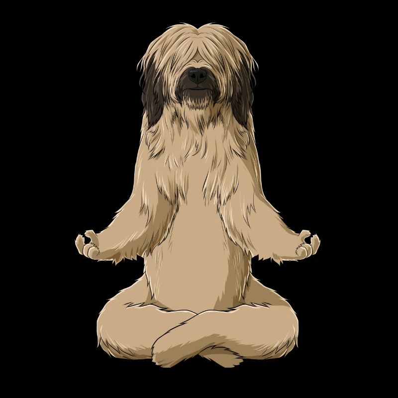 Chien Méditant Briard