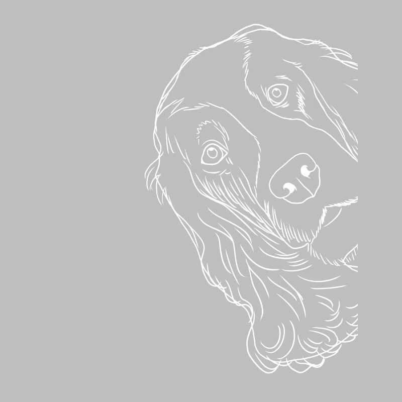 Curious English Cocker Spaniel Dog